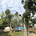 IMG_9018.JPG