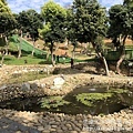 IMG_9024.JPG