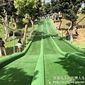 IMG_9028.JPG