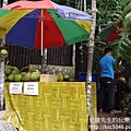 P1210747.JPG