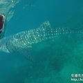 IMG_8918.JPG