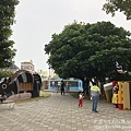 IMG_9423.JPG