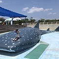 IMG_9625.JPG