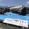 IMG_9634.JPG