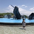 IMG_9640.JPG
