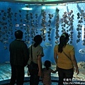 IMG_9652.JPG