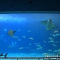 IMG_9666.JPG