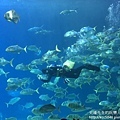 IMG_9668.JPG