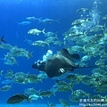 IMG_9669.JPG