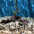 IMG_9661.JPG