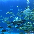 IMG_9670.JPG