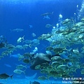 IMG_9671.JPG