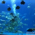 IMG_9672.JPG