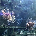 IMG_9703.JPG