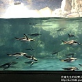 IMG_9732.JPG