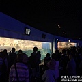 IMG_9750.JPG