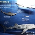 IMG_9754.JPG