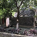 IMG_0223.JPG