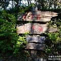 P1240203.JPG