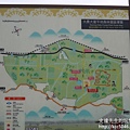 P1250003.JPG