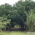 P1250004.JPG