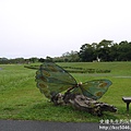 P1250013.JPG
