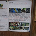 P1240542.JPG