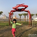 IMG_4339.JPG