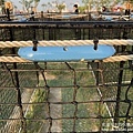 IMG_4379.JPG
