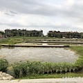 IMG_6031.JPG