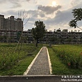 IMG_6058.JPG