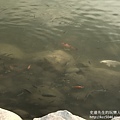 IMG_6064.JPG