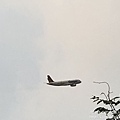IMG_6087.JPG