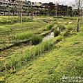 IMG_6061.JPG