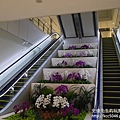 P1260070.JPG