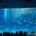 IMG_6324.JPG