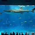 IMG_6332.JPG