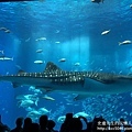 IMG_6335.JPG