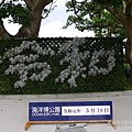 P1260439.JPG