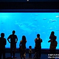 P1260481.JPG