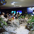 P1260457.JPG