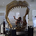 P1260507.JPG