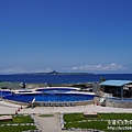 P1260532.JPG