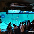 P1260633.JPG