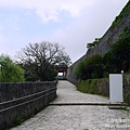 P1270126.JPG