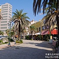 P1260862.JPG