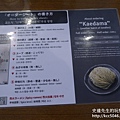 P1260272.JPG