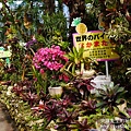 P1260673.JPG
