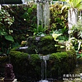 P1260679.JPG