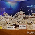 P1260744.JPG